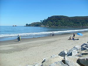 Archivo:Playa de Colcura (Chile)