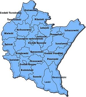 Archivo:Podkarpackie powiaty