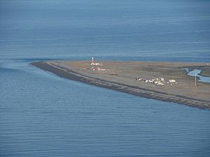 Archivo:Punta Dungeness Chilean Atlantic Ocean