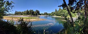 Archivo:Quillayute River confluence pano
