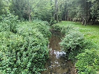 Río Raíces.jpg