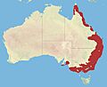 Red-browed Finch range
