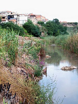 Archivo:Riu Sellent