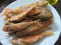 Salmonetes fritos