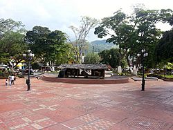 San Carlos parque.jpg