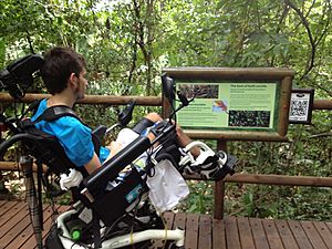 Archivo:Sendero universal Carara Costa Rica (1)