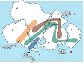 Archivo:Snider-Pellegrini Wegener fossil map-i18n