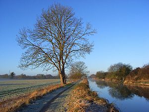 Archivo:The Kennet and Avon Canal, Midgham - geograph.org.uk - 2320046