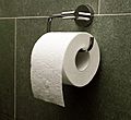 Toilet paper orientation over