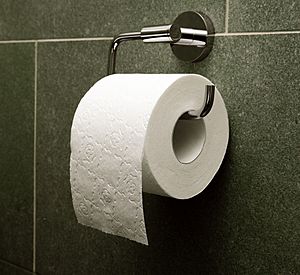Archivo:Toilet paper orientation over