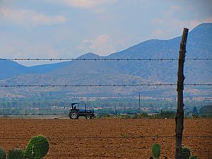 Archivo:Tractor labrando la tierra en Santa Rosa, El Llano, Aguascalientes 02