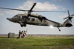 US Army UH-60 + USMC personnel.jpg