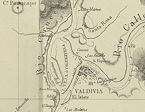 Archivo:Valdivia e Isla Teja en el Mapa de la Expedicion de Francisco Vidal Gormaz