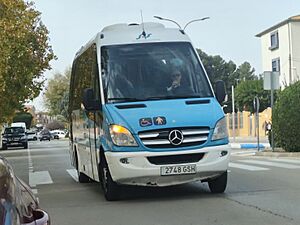 Archivo:Yecla Bus