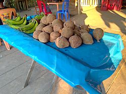 Archivo:Zapote y plátano en Iquitos