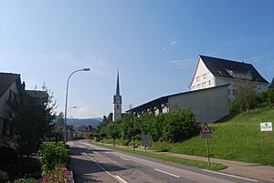 Archivo:Zell LU 193