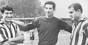 Archivo:1966–67 Juventus FC - Favalli, Herrera, De Paoli