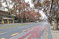 Avenida Macul, Macul, Santiago 20240604