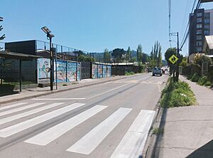 Archivo:Avenida Valparaíso, al norte de Guacolda, Temuco