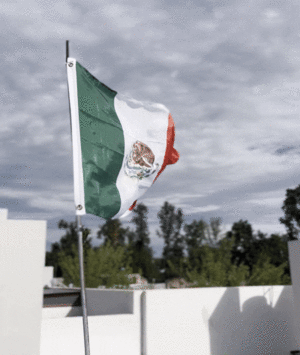 Archivo:Bandera de México ondeando