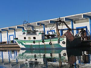 Archivo:Barco de pesca de arrastre. Puerto de Castellón (España)
