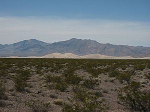Archivo:Big Dune, Amargosa Valley, Nevada