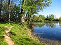 Blagnac - Lacs des Quinze Sols - 20110405 (2)