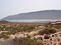 Caleta de Cebo-interior
