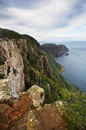 Archivo:Cape Raoul from Lookout