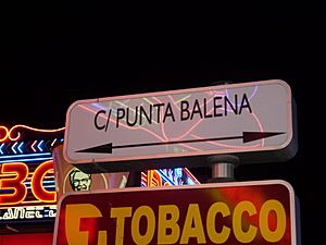 Archivo:Cartel calle Punta Ballena