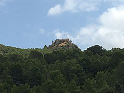 Archivo:Castell de Palma (Alfauir)