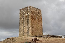 Castillo de Fuencubierta 24J 05.jpg