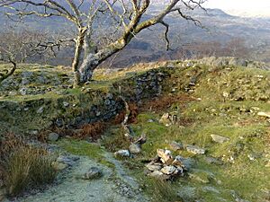 Archivo:Dinas Emrys Tower1