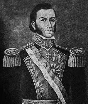 Archivo:Don Toribio de Luzuriaga