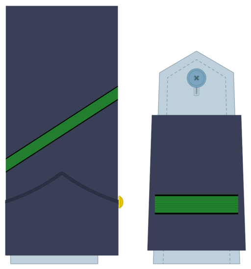 Ejerairedivies01