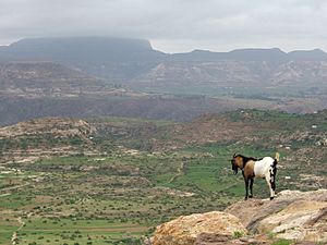 Archivo:Ethiopian Highlands 01