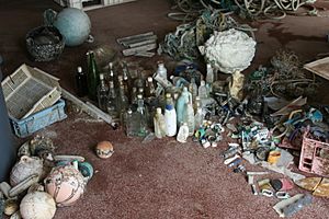 Archivo:Flostam tern island