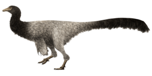 Archivo:Garudimimus Restoration