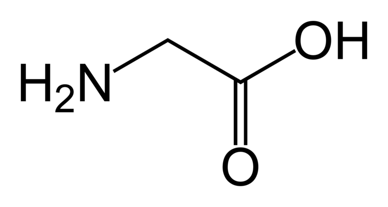 Glycine-skeletal
