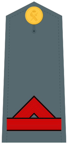 Guardiacivildivi24