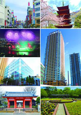 Ichikawa montage.jpg