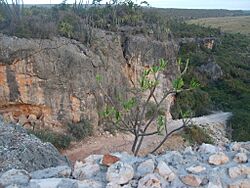 Jaragua National Park (Road2).JPG