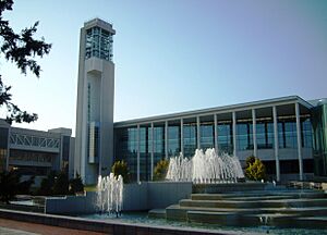 Archivo:MSUMeyerLibraryandCarillon