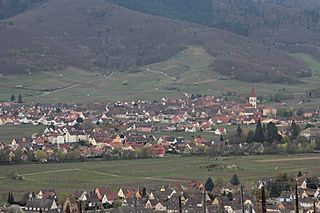 Nécropole nationale de Sigolsheim 2013 19.jpg