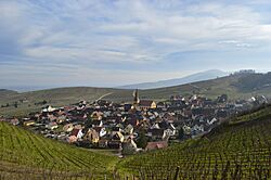 Niedermorschwihr, vue générale.jpg