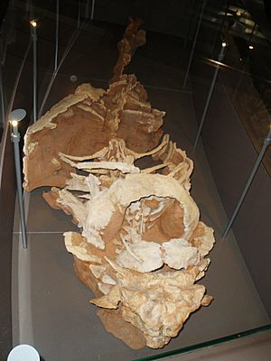 Archivo:Pinacosaurus mephistocephalus
