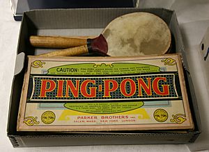 Archivo:Ping-Pong 2