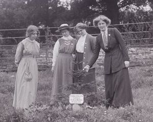 Archivo:Planting suffragette trees at Eagle House Suffragettes Annie Kenney, Mary Blathwayt, Laura Ainsworth and Charlotte Marsh (left to right)