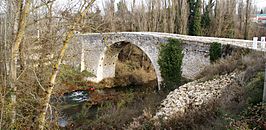 Puente medieval sobre el río Cega