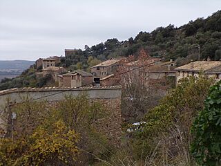 Purroi de la Solana - 2.jpg